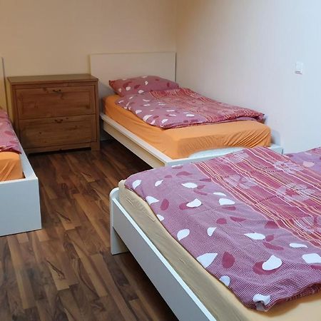 Apartment Potepuh Бовец Екстер'єр фото